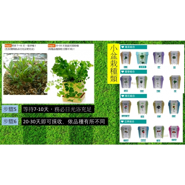 療鬱植栽 產品介紹 創冠國際有限公司